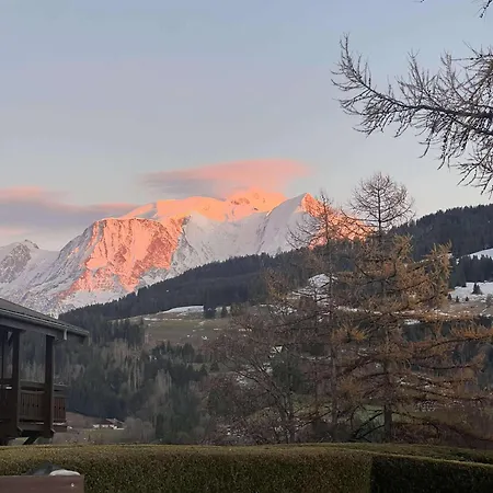 Apartment T2 De Charme Vue Montblanc *